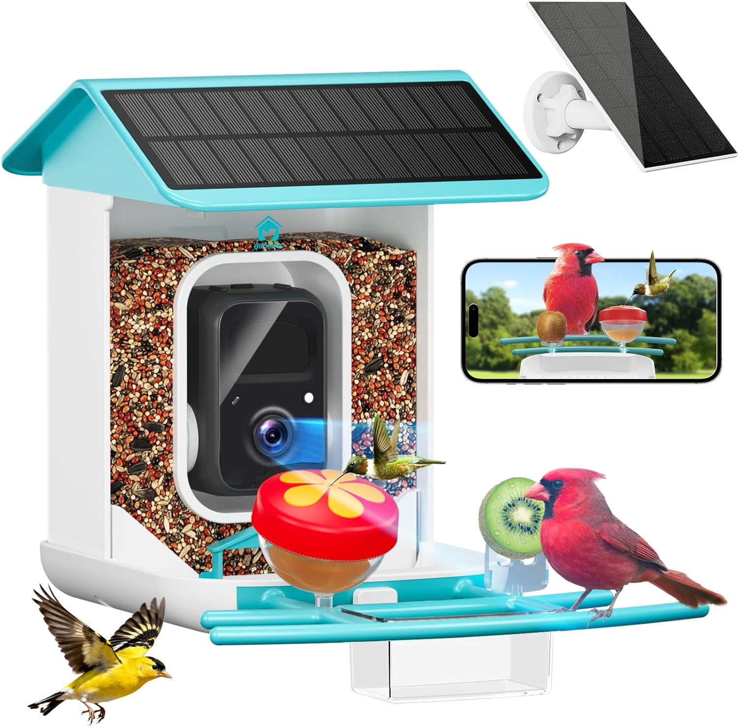 Read more about the article smart bird feeder with camera